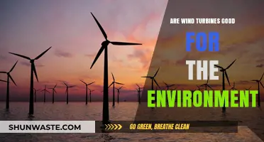 Wind Turbines: Environmental Savior or Ecological Challenge?