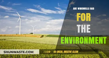 Windmills and the Environment: Uncovering the Ecological Impact and Myths