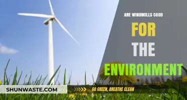 Windmills and the Environment: Sustainable Energy or Ecological Dilemma?