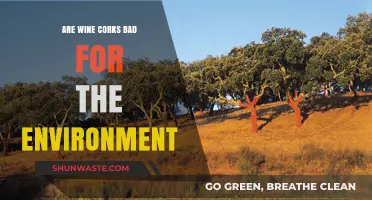 Wine Corks and the Environment: Sustainable or Harmful?