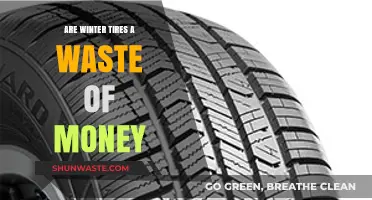 Winter Tires: Smart Investment or Unnecessary Expense?