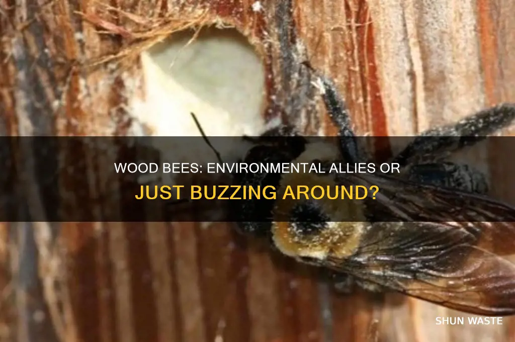 are wood bees good for the environment