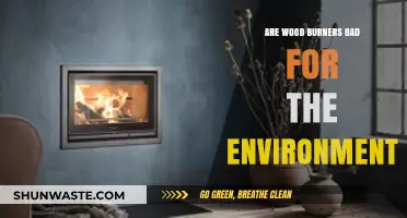 Wood Burners and the Environment: Uncovering the Ecological Impact