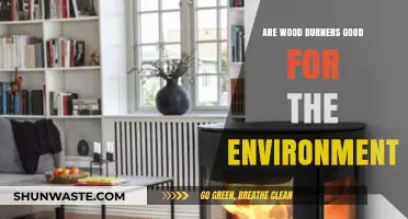Wood Burners and the Environment: Eco-Friendly or Harmful Choice?