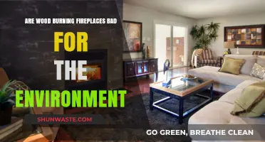 Wood Burning Fireplaces: Environmental Impact and Sustainable Alternatives Explored
