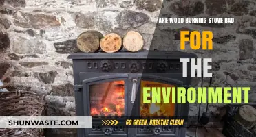 Wood Burning Stoves: Environmental Impact and Sustainable Heating Alternatives