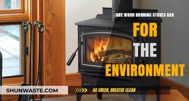 Wood Burning Stoves: Environmental Impact and Sustainable Heating Alternatives