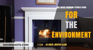 Wood Burning Stoves: Eco-Friendly Heating or Environmental Hazard?