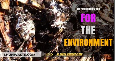 Wood Chips and the Environment: Uncovering Their Ecological Impact