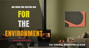 Wood Fire Heaters: Environmental Impact and Sustainable Heating Alternatives