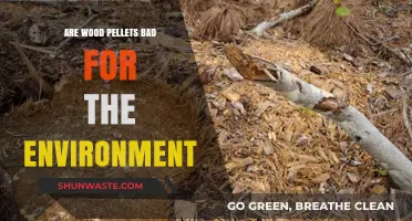 Wood Pellets: Eco-Friendly Fuel or Environmental Hazard?