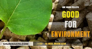 Wood Pellets: Eco-Friendly Fuel or Environmental Concern?