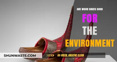 Eco-Friendly Footwear: Are Wooden Shoes a Sustainable Choice?