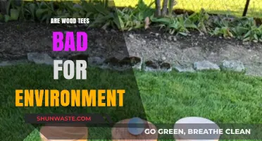 Wooden Golf Tees: Eco-Friendly or Harmful to the Environment?