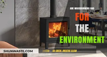 Woodburners and the Environment: Uncovering the Ecological Impact of Stoves