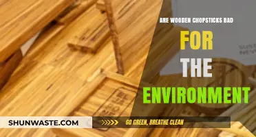 Wooden Chopsticks: Eco-Friendly Choice or Environmental Hazard?