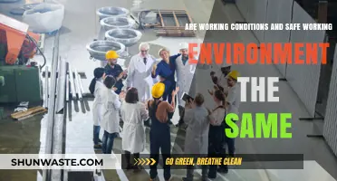 Working Conditions vs. Safe Environment: Understanding the Key Differences