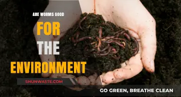 Worms' Eco-Friendly Impact: Uncovering Their Environmental Benefits and Role