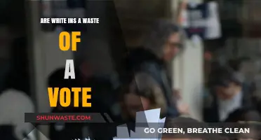 Are Write-In Votes Wasted? Exploring Their Impact on Elections