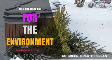 Eco-Friendly Holidays: The Environmental Impact of Christmas Trees Explained