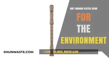 Yamaha Flutes: Eco-Friendly Choice or Environmental Concern?