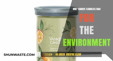 Are Yankee Candles Eco-Friendly? Environmental Impact Explained