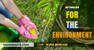 Are Yards Eco-Friendly? Exploring Their Environmental Impact and Sustainability