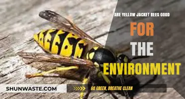 Yellow Jackets' Environmental Impact: Beneficial or Harmful?