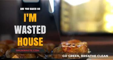 Baked vs. Wasted: Decoding the Party Scene at Home
