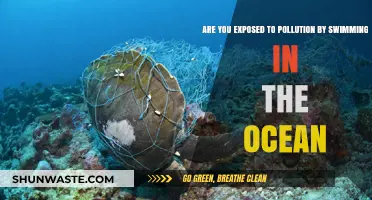 Swimming in the Ocean: Are You Safe?