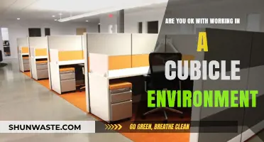 Cubicle Life: Embracing or Escaping the Office Environment?