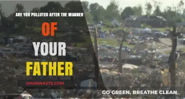 Pollution of the Soul: The Sins of Our Fathers
