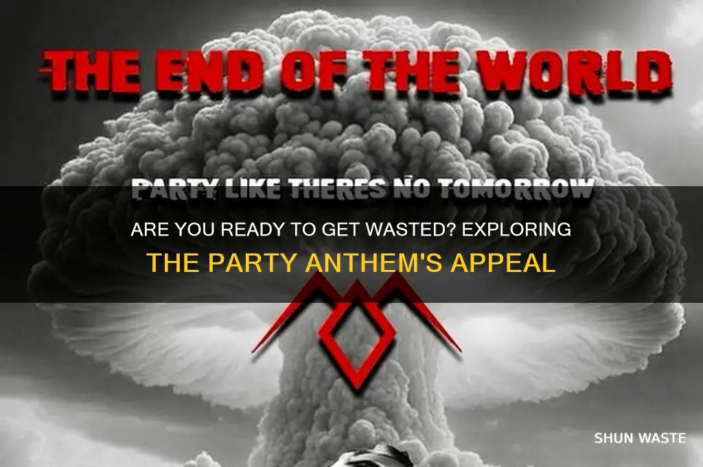 are you readu to get wastes song