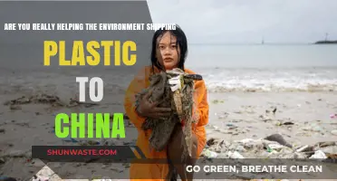 Shipping Plastic to China: Environmental Solution or Greenwashing Illusion?