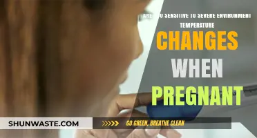 Pregnancy and Extreme Temperatures: Navigating Sensitivity to Environmental Shifts