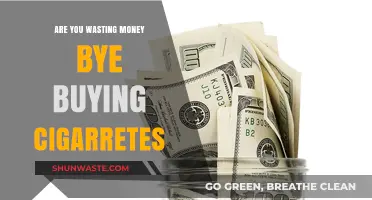 Stop Smoking, Start Saving: Are Cigarettes Draining Your Wallet?