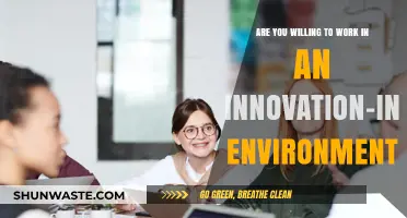 Thriving in Innovation: Are You Ready for an Intensive Work Environment?