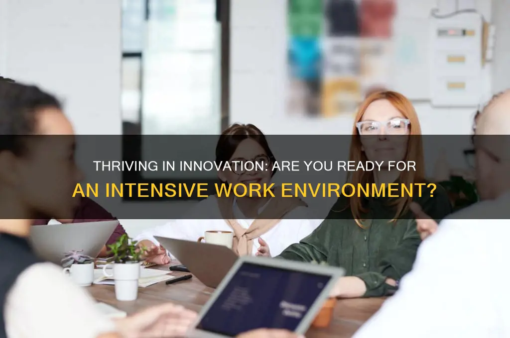 are you willing to work in an innovation-intensive environment