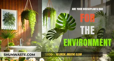 Houseplants and Eco-Impact: Uncovering Their Environmental Footprint
