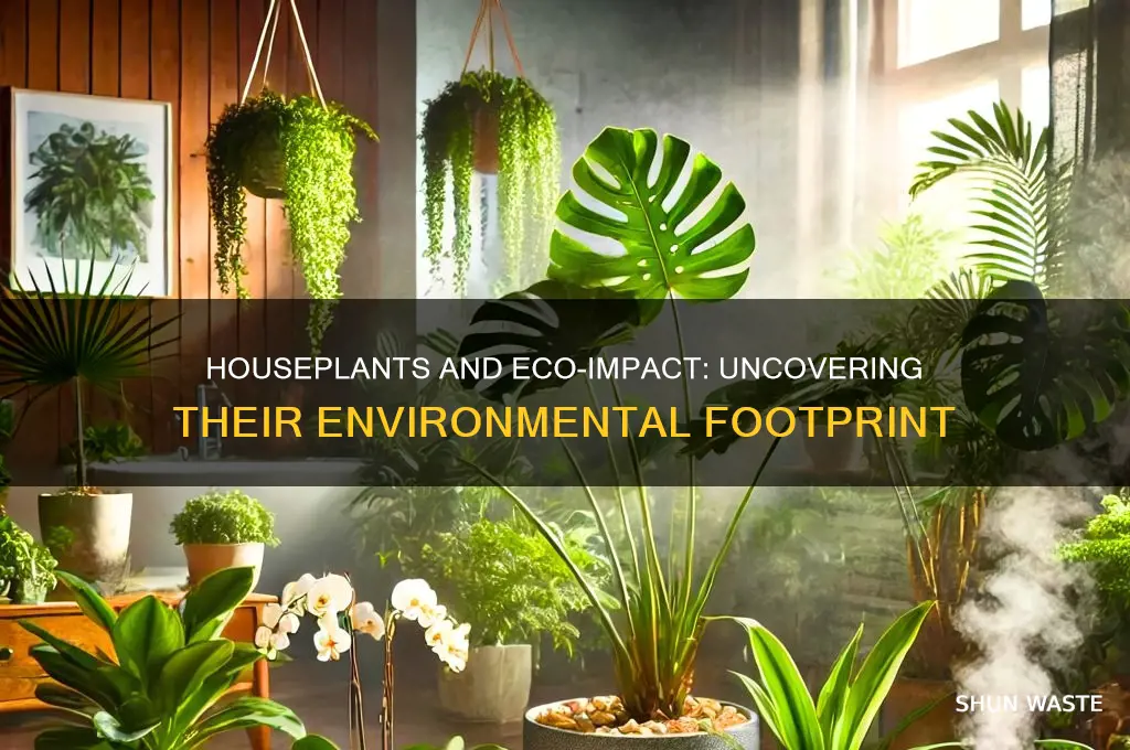 are your houseplants bad for the environment