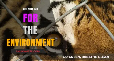 Zoos and the Environment: Harmful Habitats or Conservation Havens?