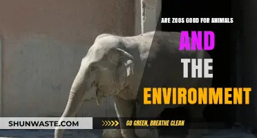 Zoos: Animal Welfare, Conservation, or Environmental Dilemma?