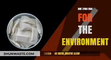 Are Zyns Eco-Friendly? Uncovering Their Environmental Impact and Sustainability