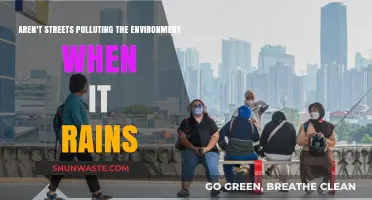 How Streets Pollute the Environment During Rain