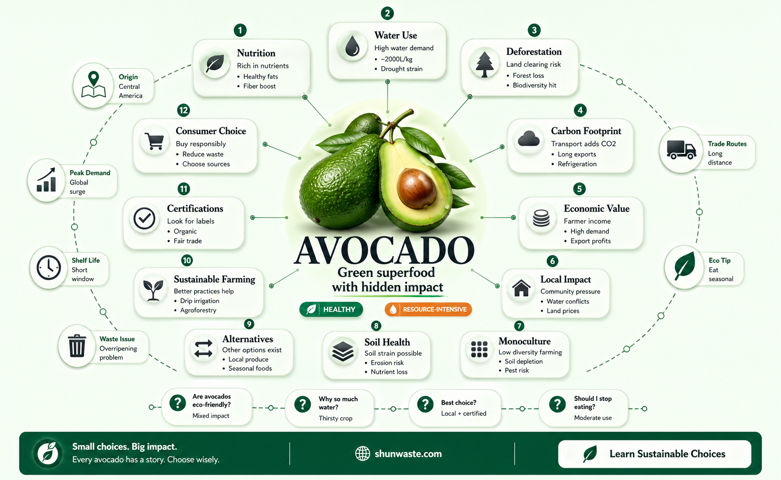 are avocados good for environment
