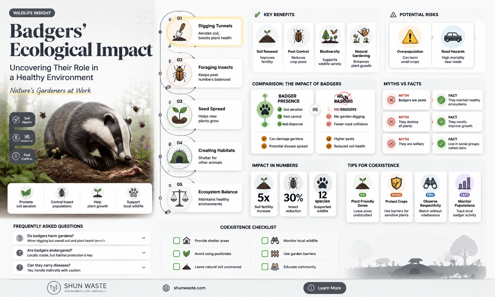 are badgers good for the environment