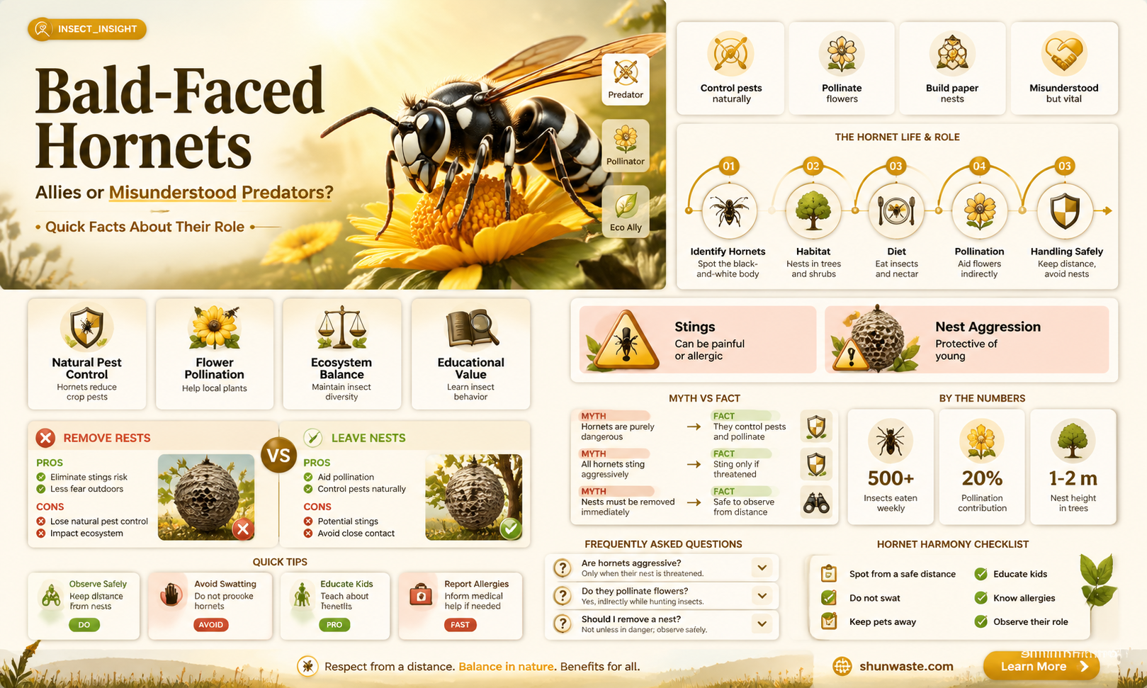 are bald faced hornets good for the environment