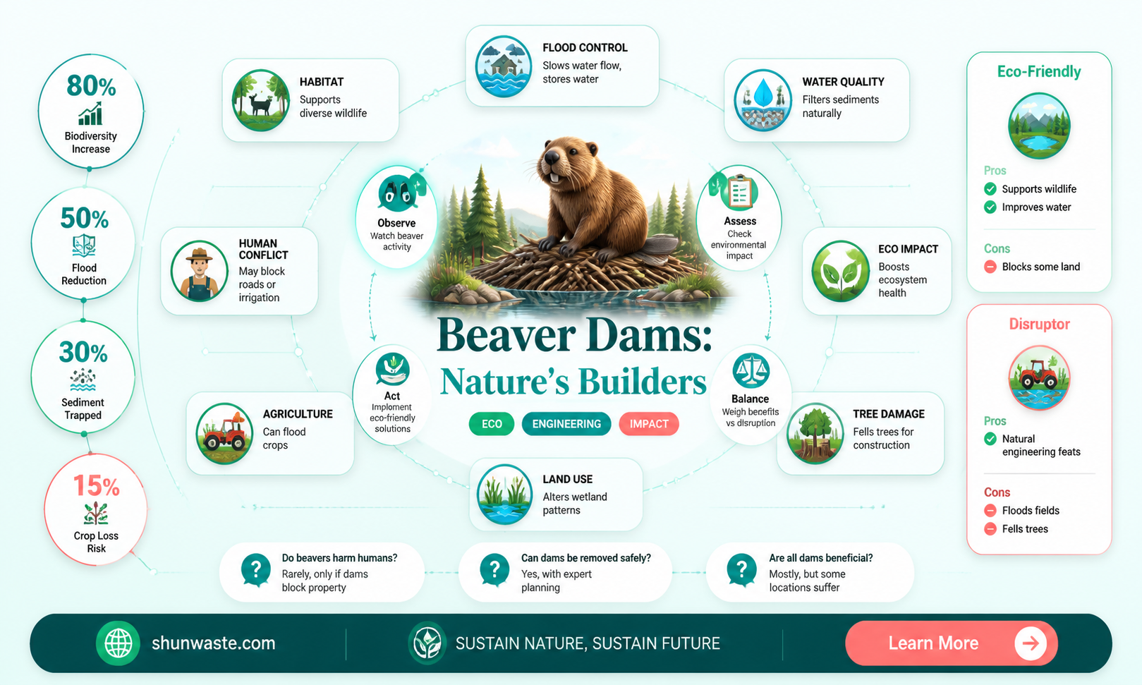 are beaver dams good for the environment