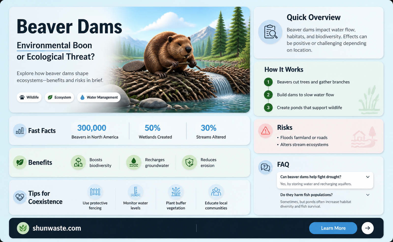 are beaver dams bad for the environment