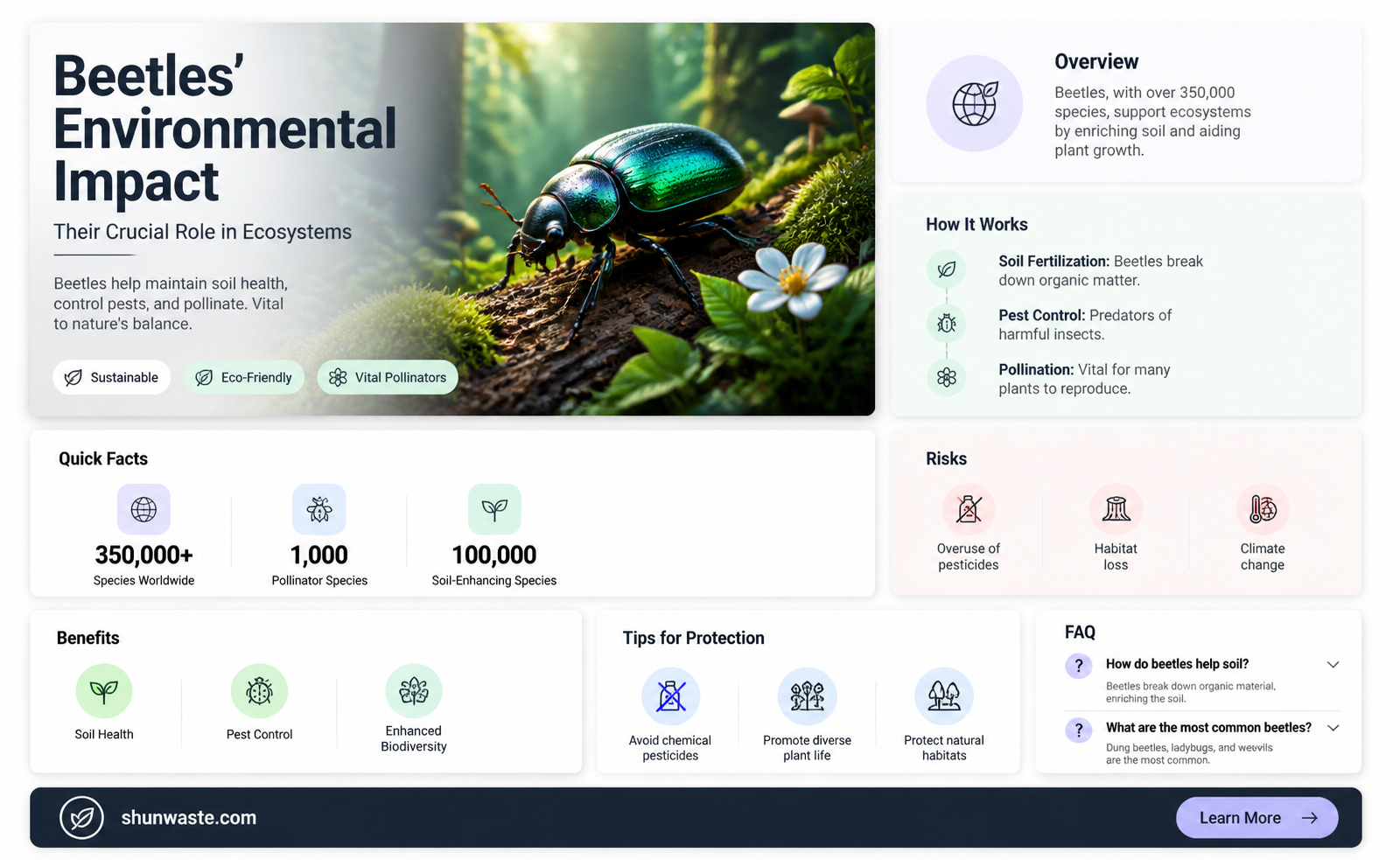 are beetles good for the environment